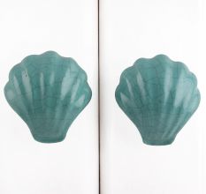 Sea Green Sea Shell Knob